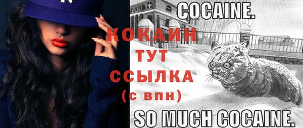 индика Нефтегорск