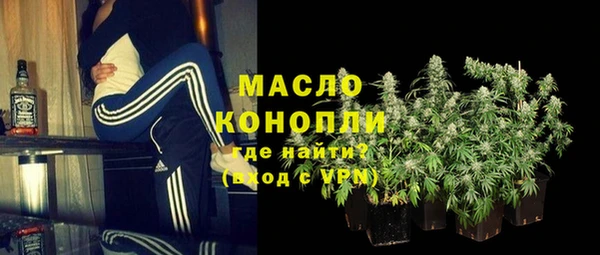 индика Нефтегорск