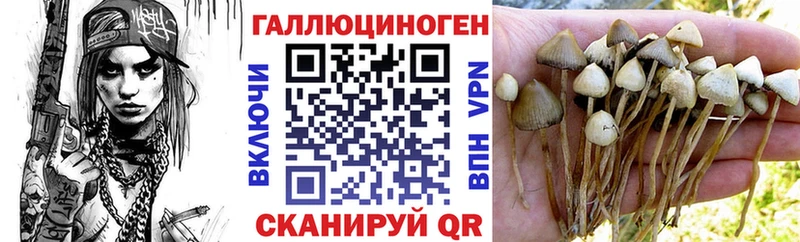 Галлюциногенные грибы MAGIC MUSHROOMS  хочу   Тырныауз 