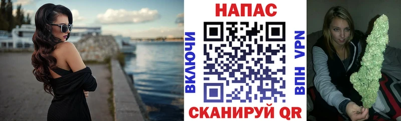 Конопля ГИДРОПОН  Тырныауз 